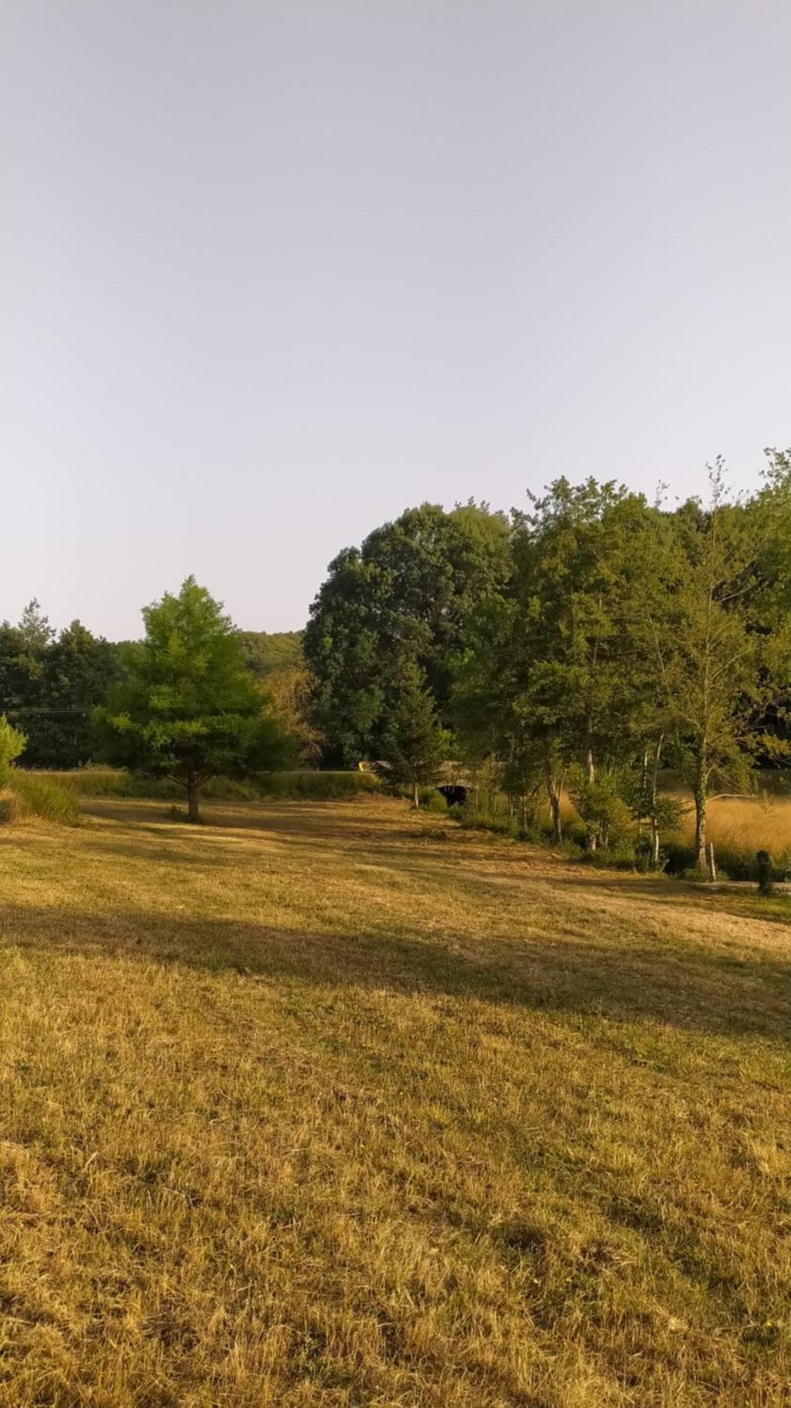 Roulotte De La Petite Beauronne